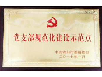  2017黨支部規(guī)範化建設示範ポイント