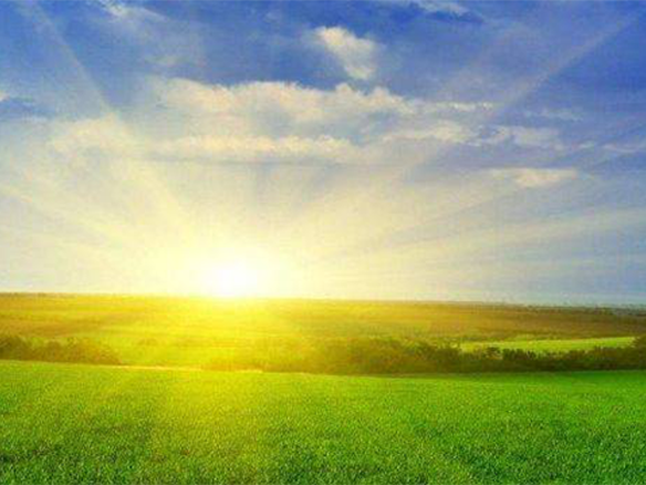 2020H1，錦州陽光戮力同心、運(yùn)營(yíng)達(dá)滿產(chǎn)