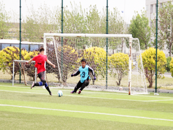 人文陽光 | 燃情綠茵場！陽光能源“陽光杯足球賽”正式開賽